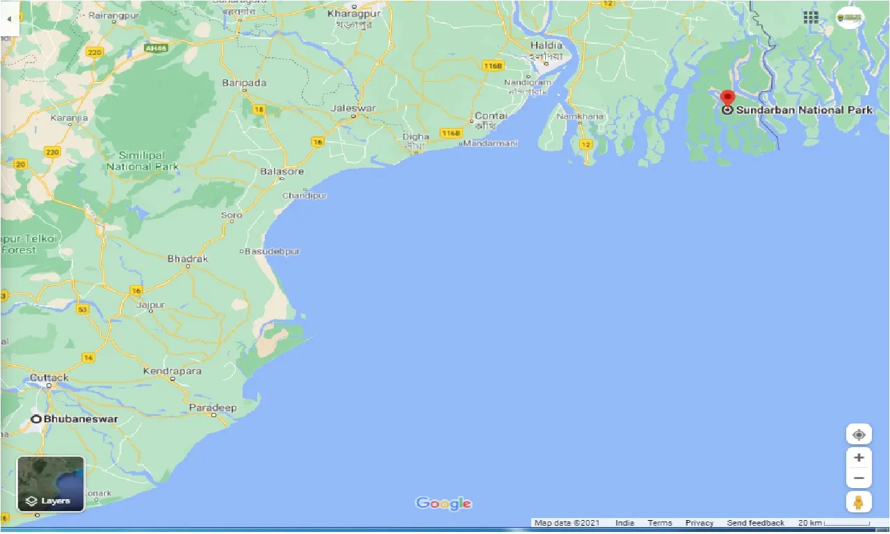 bhubaneswar-to-sundarban-national-park-one-way