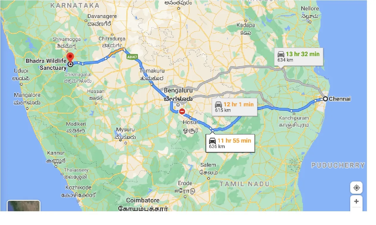 chennai-to-bhadra-wildlife-one-way