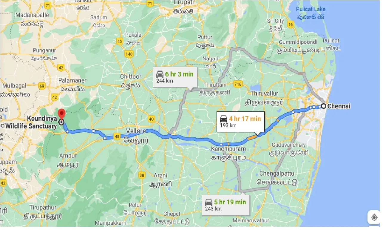 chennai-to-koundinya-wildlife-one-way