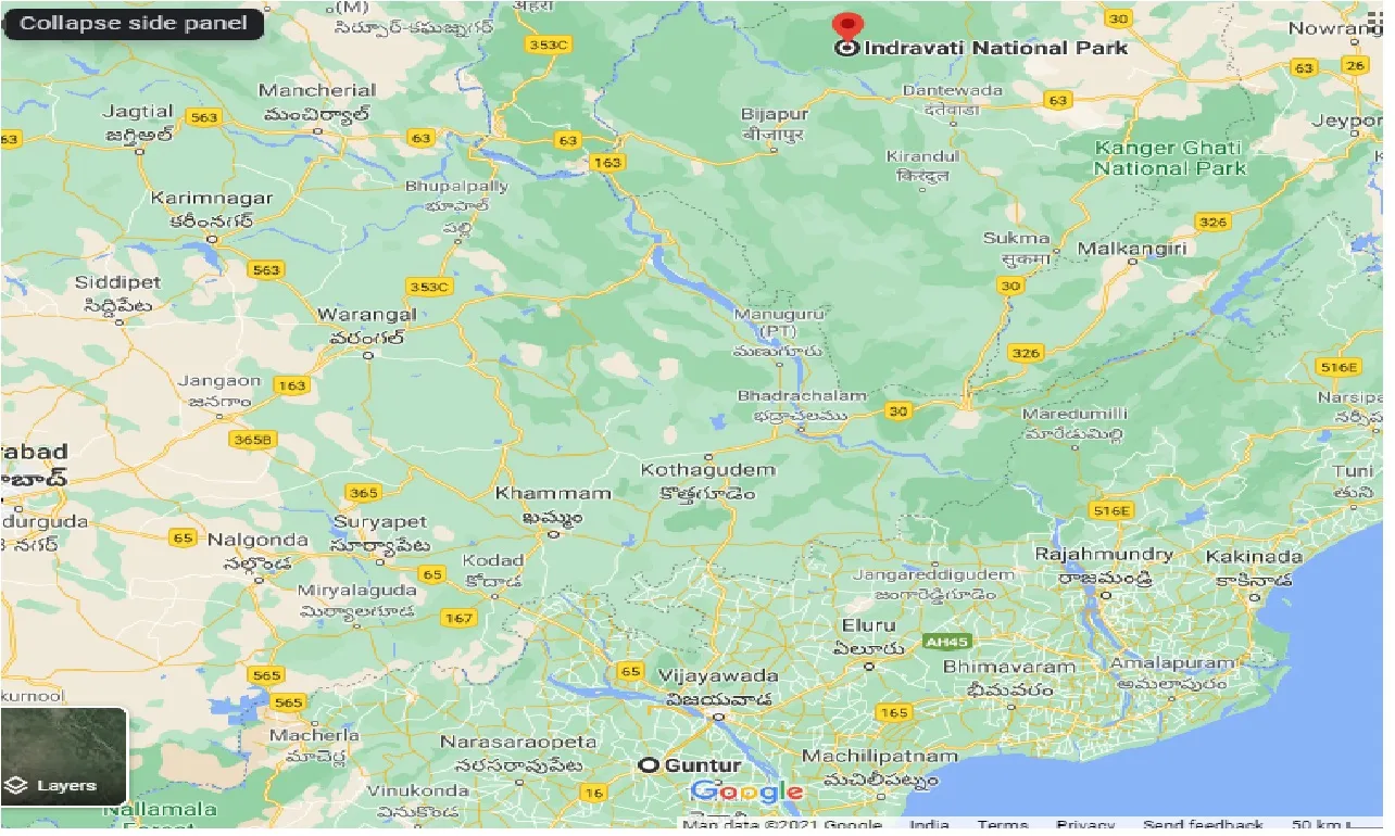 guntur-to-indravati-national-park-one-way