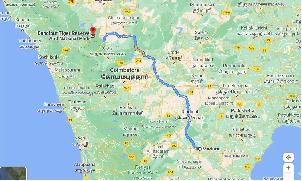 madurai-to-bandipur-tiger-reserve-and-national-park-one-way