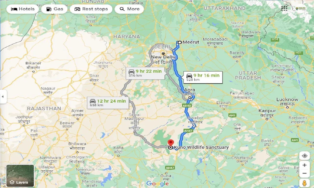 meerut-to-palpur-kuno-wildlife-sanctuary-one-way