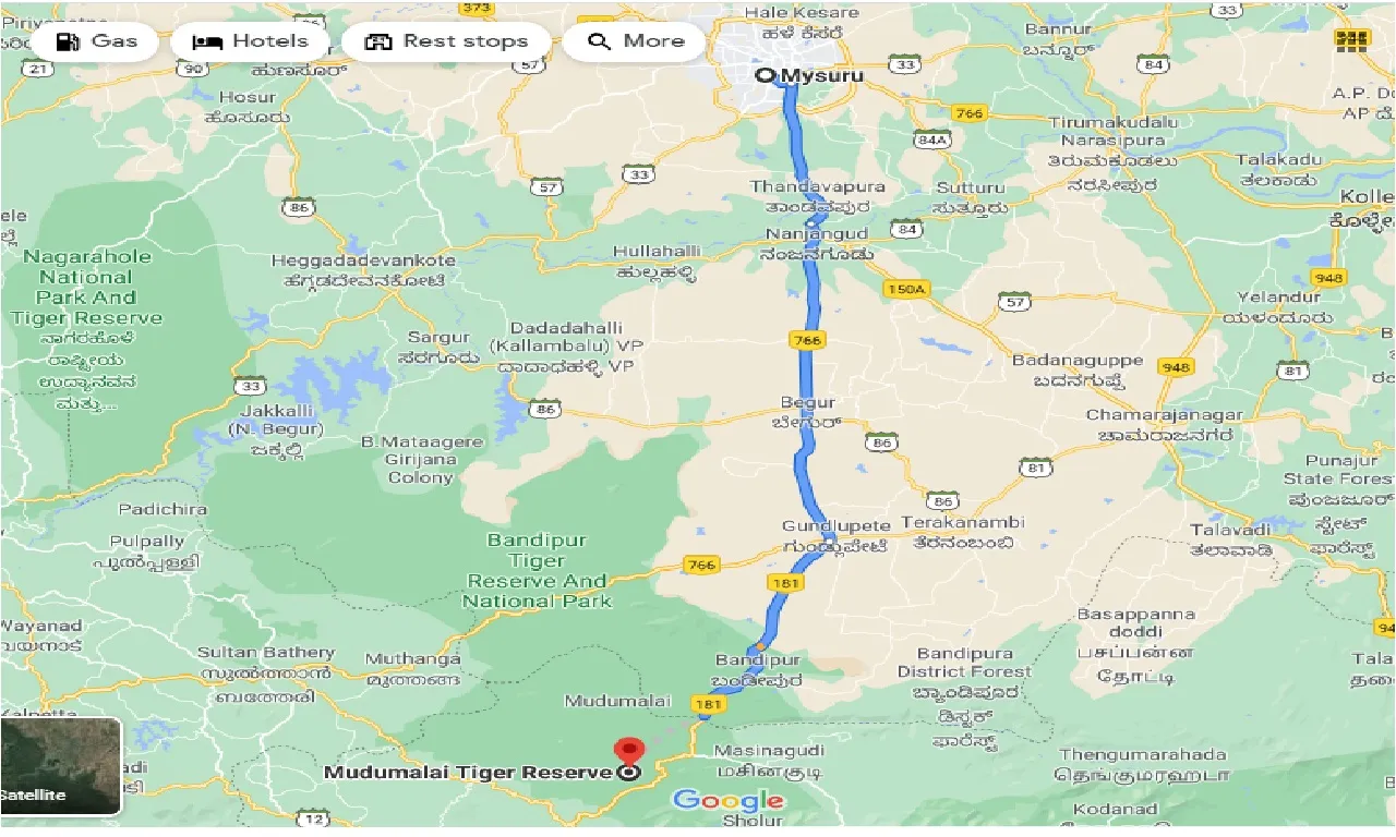 mysore-to-mudumalai-tiger-reserve-one-way