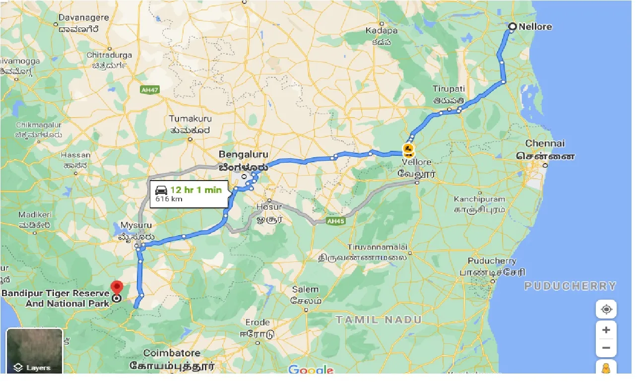 nellore-to-bandipur-tiger-taxi