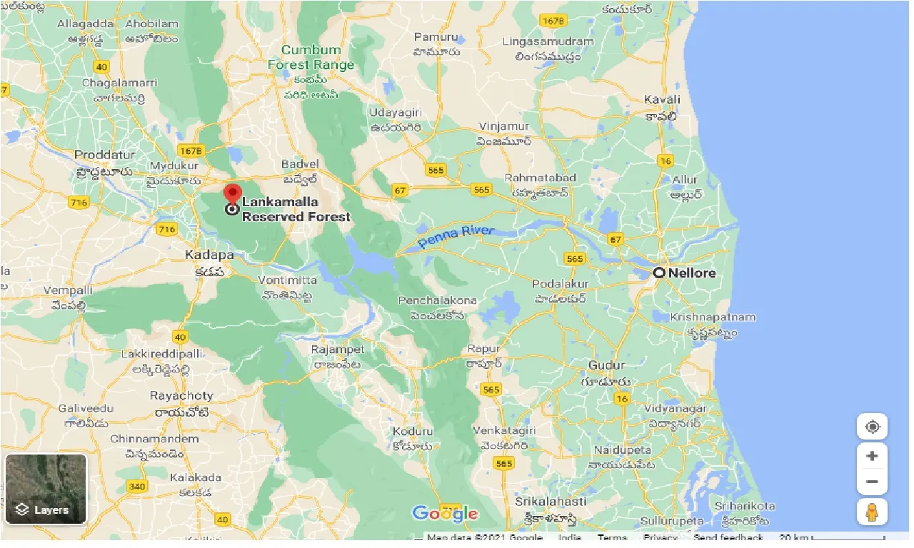 nellore-to-lankamalla-forest-one-way