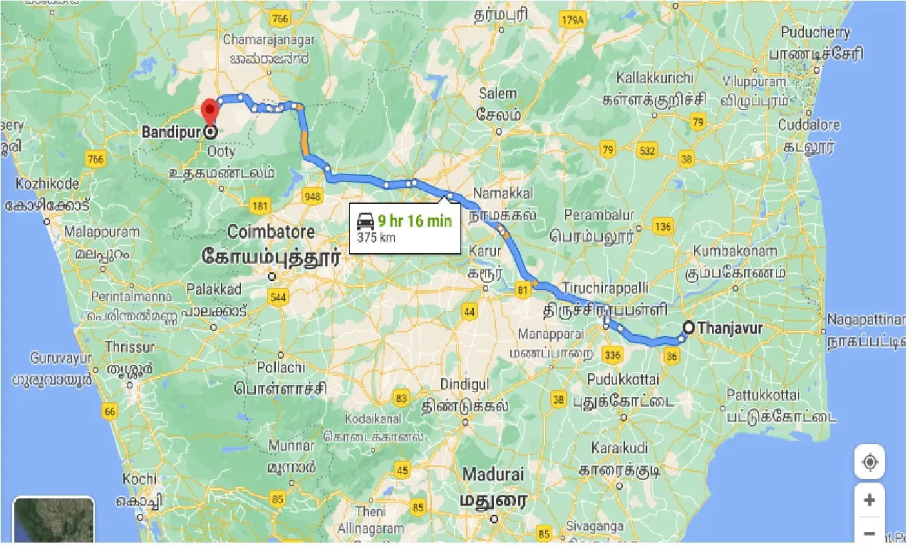 thanjavur-to-bandipur-tiger-reserve-taxi