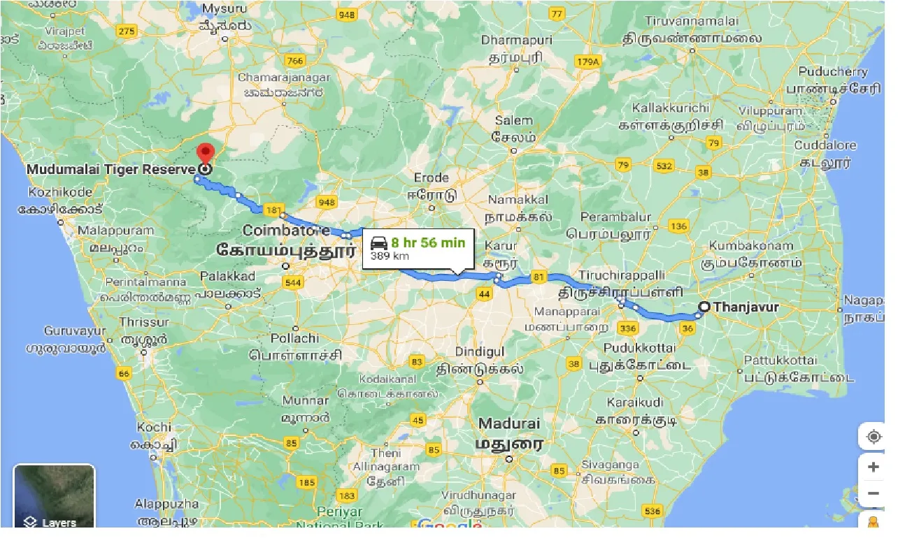 thanjavur-to-madumalai-tiger-reserve-one-way