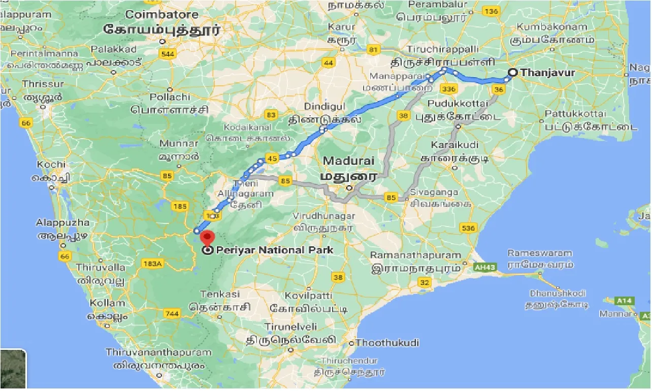 thanjavur-to-periyar-national-park-one-way