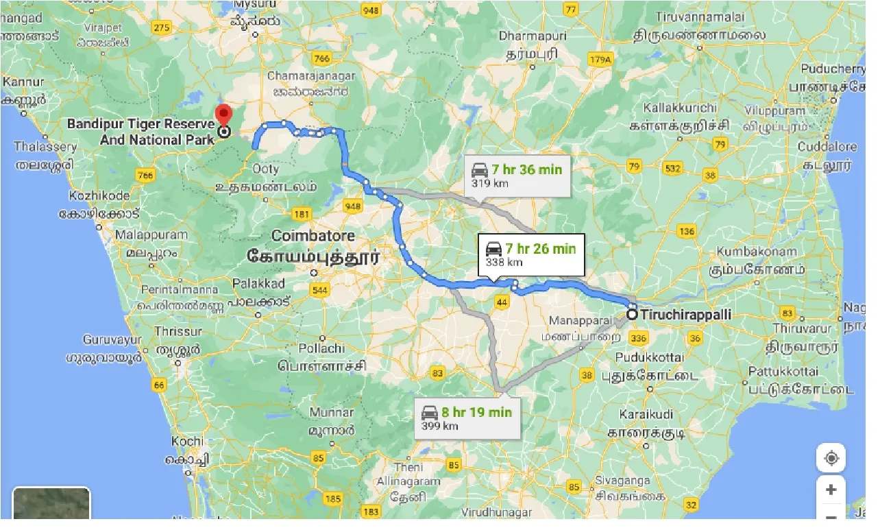 tiruchirappalli-to-bandipur-tiger-reserve-and-national-park-one-way